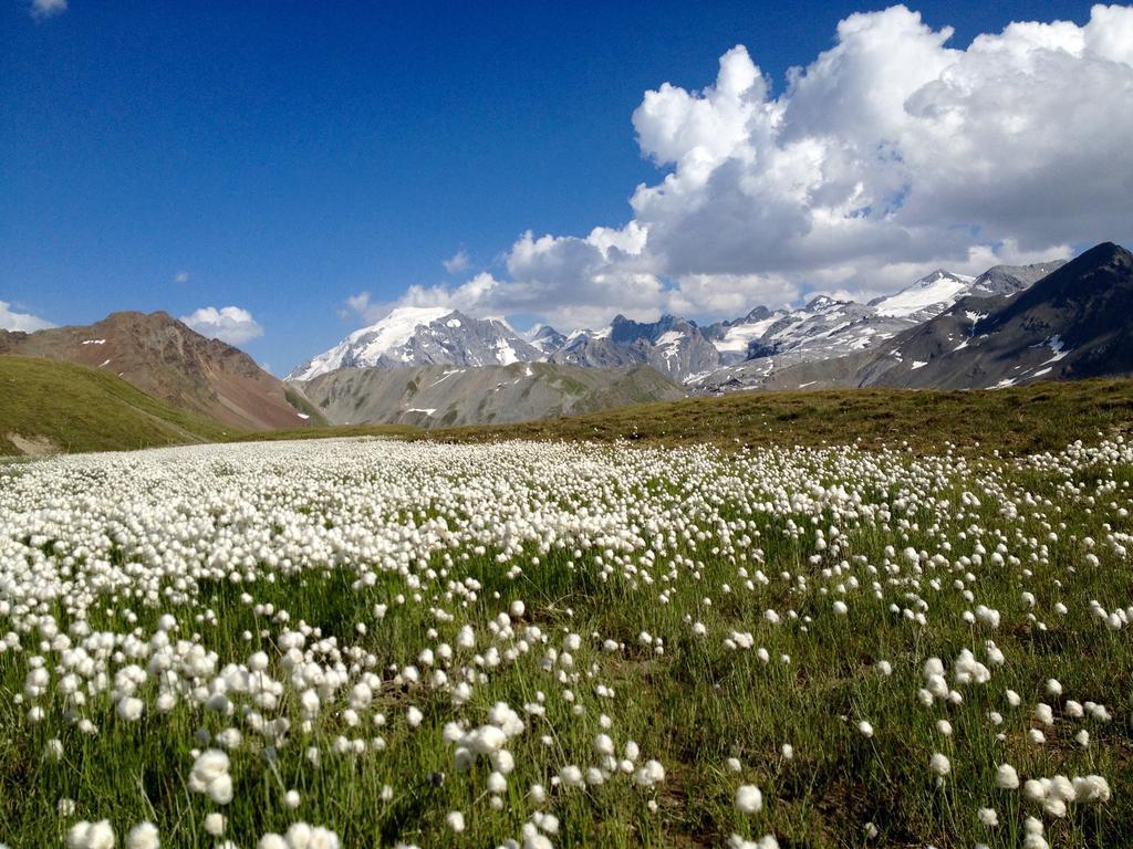 Albergo Quarto Pirovano Gebirgspass Stilfser Joch Exterior foto